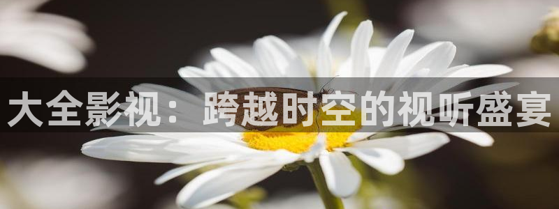 我不卡影院神马