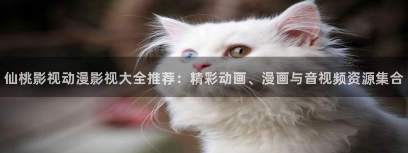 迅雷影院不卡影院